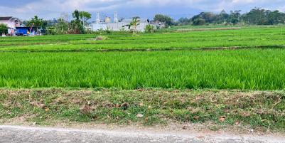 Tanah Datar View Gunung Lawu Kerjo Karanganyar 