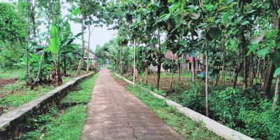 Tanah Kebun Jati Cocok dibangun Rumah Tinggal Kerjo Karanganyar
