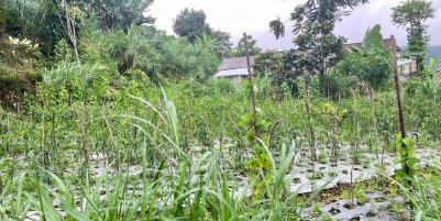 View Cantik 1000m² Kemuning, Karanganyar, Solo 