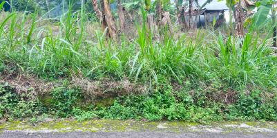 Tanah 900m² Kawasan Wisata Ngargoyoso Karanganyar