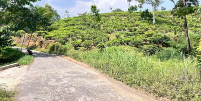 Tanah 300 Juta Siap Bangun Villa View Kebun Teh Karanganyar