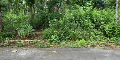 Pekarangan Super Datar 740m² Karanganyar Utara 