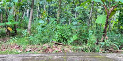Pekarangan Super Datar 900m² Mojogedang, Karanganyar 