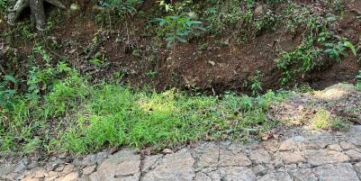 SUPER MURAH TANAH DATAR HANYA 50JT KEDAWUNG, SRAGEN 
