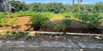 Tanah Super Datar 629m2 150Juta Kedawung, Sragen 