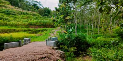 Tanah Kebun Jati Sambirejo Sragen