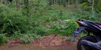 Dijual Tanah Datar 1500m2 325Jt Mojogedang, Karanganyar