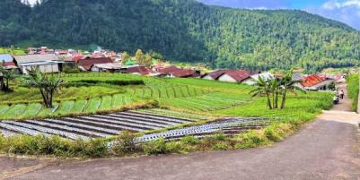 Tanah Idaman Cocok Untuk Villa Wisata Tawangmangu