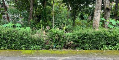 Tanah Datar 539m² Dekat Kecamatan Kerjo, Karanganyar 