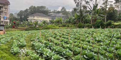 Tanah 300m² Kawasan Wisata Strategis Tawangmangu 