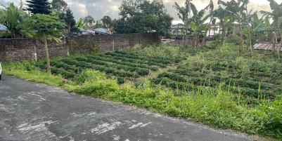 Tanah Datar Tawangmangu, Karanganyar 216m²