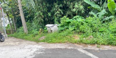  Pekarangan 225 Juta Cocok untuk Kebun Buah Ngargoyoso
