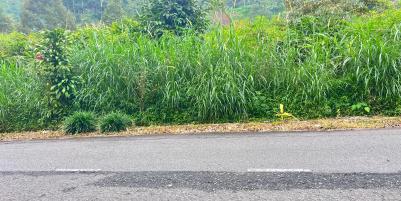 Tanah 3000m² Tepi Jl Raya Kemuning Siap Buka Usaha