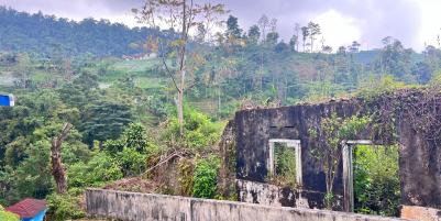 Tanah 800m² View Perkebunan Teh Karanganyar 