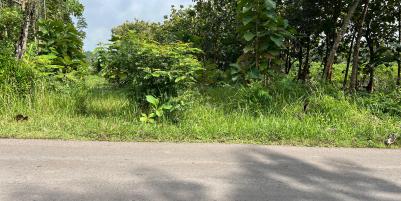 Tanah Datar Untuk Gudang 1000m² Tepi Jl Raya Kerjo – Sragen 