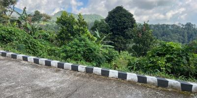 Dijual tanah udara dingin siap bangun villa, homestay dll 