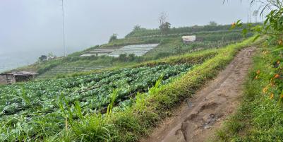 Tanah Wisata Kemuning 1000m View Istimewa 