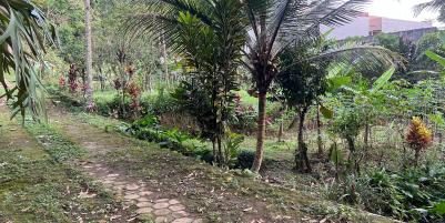 Tanah 220 Juta Cocok Untuk Villa Tawangmangu 