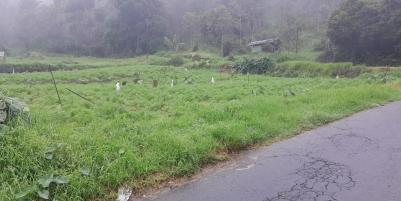 Tanah 825m² Strategis Tepi Jl Tawangmangu Karanganyar 
