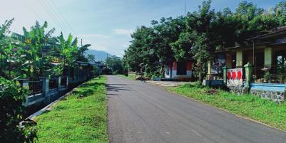 Tanah Kebun Jati Datar 1 Hektar Kerjo Karanganyar