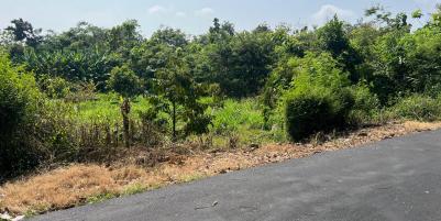 Tanah Kebun Buah 2020m² Kedawung Sragen