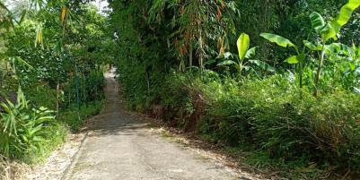 Tanah Pekarangan Siap Dibangun Tempat Tinggal Mojogedang Karanganyar