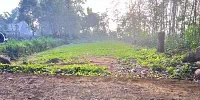 Tanah 175 Juta Lingkungan Wisata Kampung Karet Ngargoyoso 