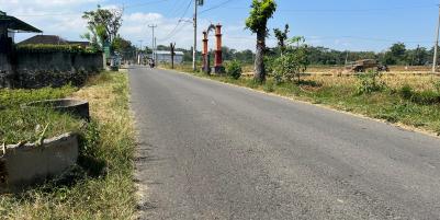 Dijual Tanah Sawah 700m 175Jt Kerjo Karanganyar 