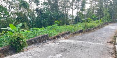 Tanah Subur 6000m² Kawasan Wisata Karangpandan 