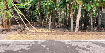 Tanah Datar 350 Juta Cocok Untuk Hunian Sragen 