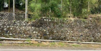 Tanah 1,2 Hektar Strategis Dekat Pasar Karangpandan 