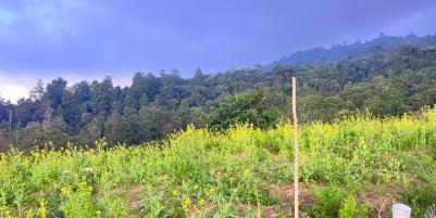 Tanah Datar Kawasan Wisata 650m Kemuning Karanganyar 