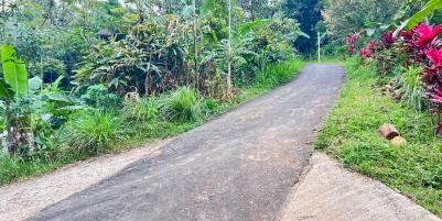 Tanah Istimewa 1 Hektar 500Juta Utara Candi Cetho Karanganyar 
