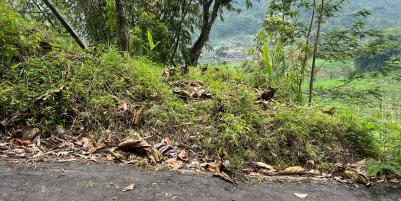 Tanah View Istimewah 500m 125Jt Ngargoyoso 