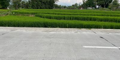 Tanah Subur 2906m Matesih  Karanganyar 