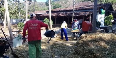 Lahan peternakan lengkap dgn kandang sapi, kambing, ayam, kolam, kebun