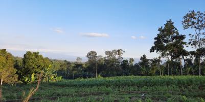 TANAH NGANTONG DI NGAJUM MALANG SCENIC VIEW