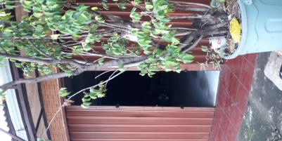 Dijual rumah strategis