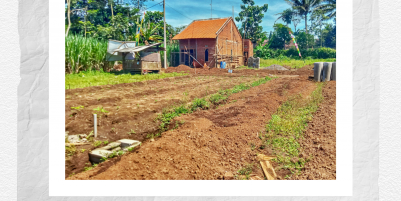 Tanah Kavling di Kepanjen Malang Kabupaten