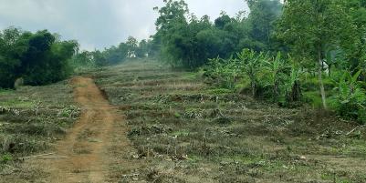 TANAH DARAT DI SINDANGLAYA BANDUNG