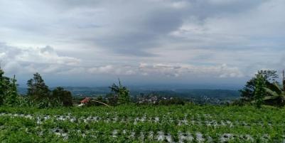 Tanah Strategis Untuk Vila Kemuning Ngargoyoso Karanganyar