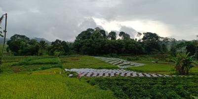 Tanah View Sawah Utara Pasar Karangpandan Karanganyar