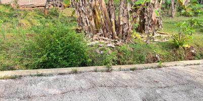 Tanah Super Datar 300rb/m 2000m Karanganyar Utara 