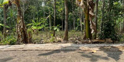 Pekarangan Datar 959m² Utara Pasar Mojogedang 