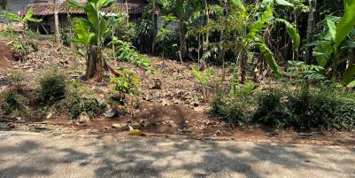 Tanah Murah 125 Juta Mojogedang Karanganyar 
