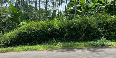 Tanah 1685m² Selatan Pasar Mojogedang Karanganyar