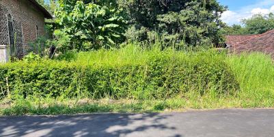 Tanah Strategis 1300m² Selatan Pasar Mojogedang