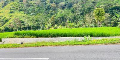 Tanah 469m² Tepi Jl Raya Strategis Bangun Villa Karanganyar