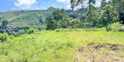  Tanah 5971m² Cocok Untuk Wisata View Kebun Teh Kemuning 