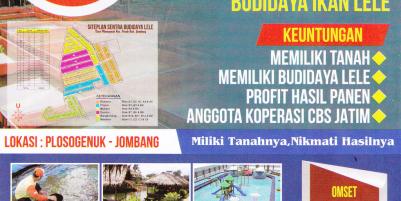 Beli Properti Dibayar Lele -    Miliki Tanahnya Dan Nikmati Hasilnya